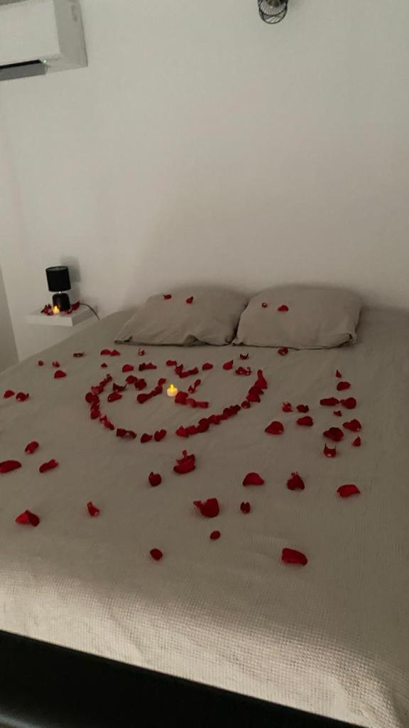 Cosy House Jacuzzi Vakantiehuis